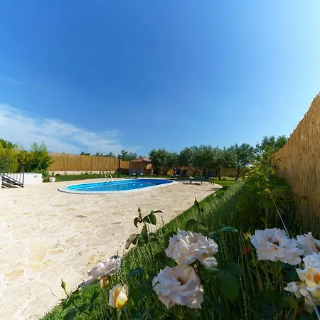 House Roko Villa *